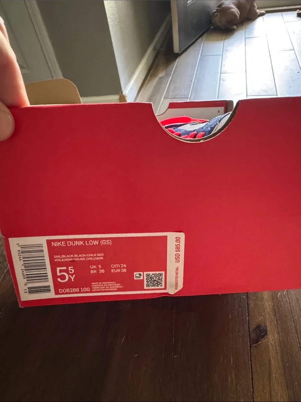 Nike Dunk Low (GS) Sail Blue Red Black Low-Top Sneakers